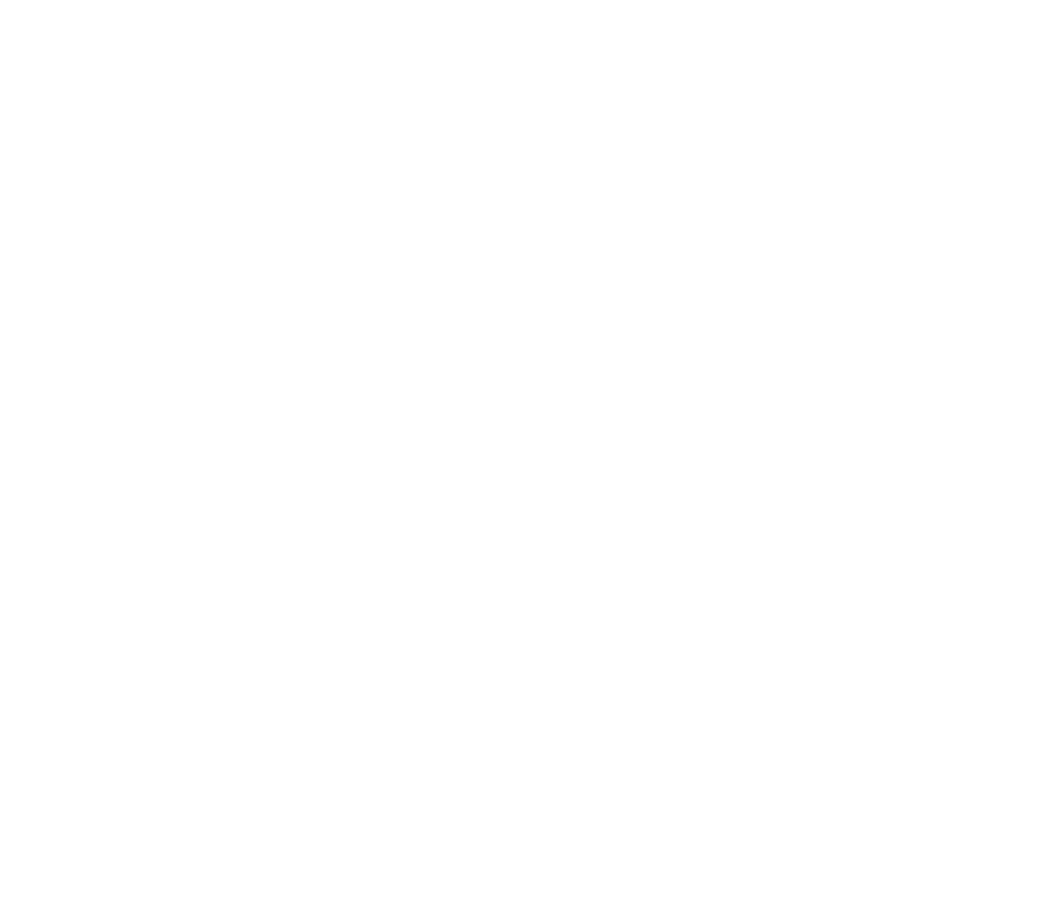 T2S Architecture